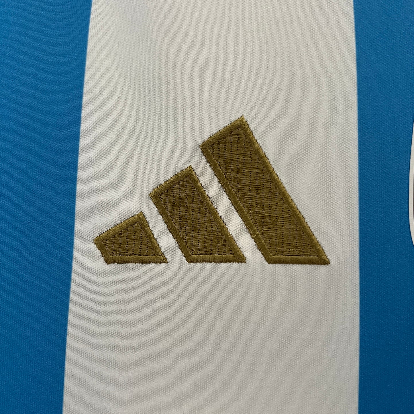 ARGENTINA MAGLIA HOME 2025