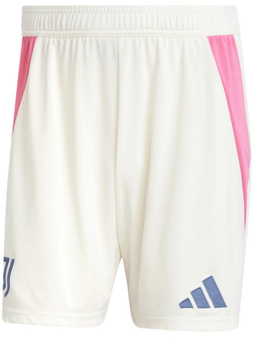 JUVENTUS MAGLIA AWAY 24 / 25