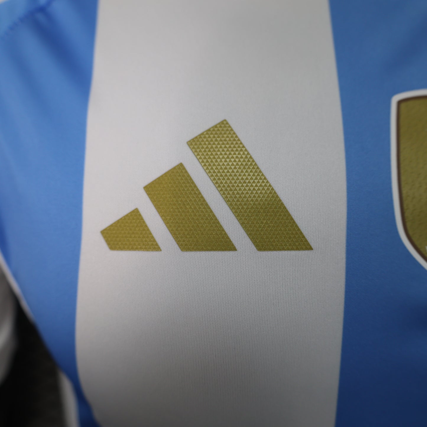 ARGENTINA MAGLIA HOME 2025