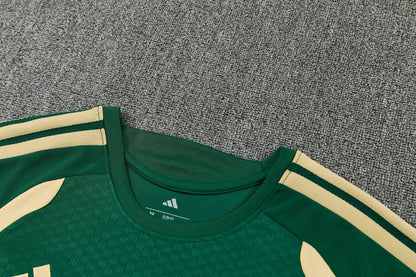 REAL MADRID KIT ALLENAMENTO Verde Beige maglia e pantaloncino