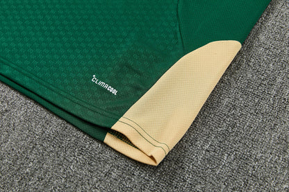 REAL MADRID KIT ALLENAMENTO Verde Beige maglia e pantaloncino