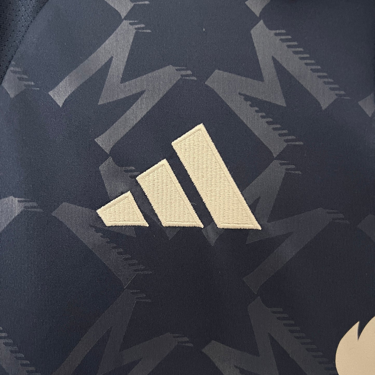 MANCHESTER UNITED TERZA MAGLIA THIRD 24 / 25