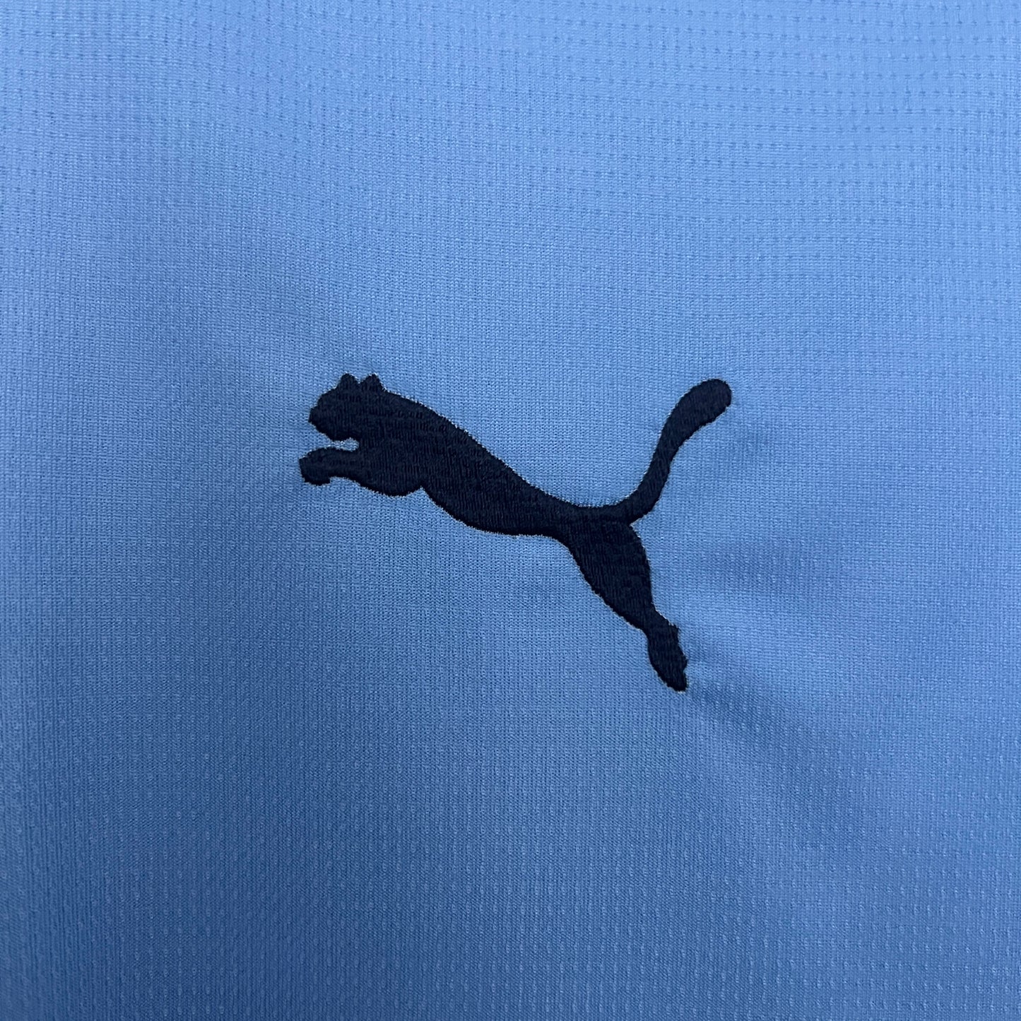 MANCHESTER CITY PRIMA MAGLIA HOME CASA  25 / 26